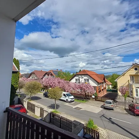 6rooms Balaton-heviz Διαμέρισμα