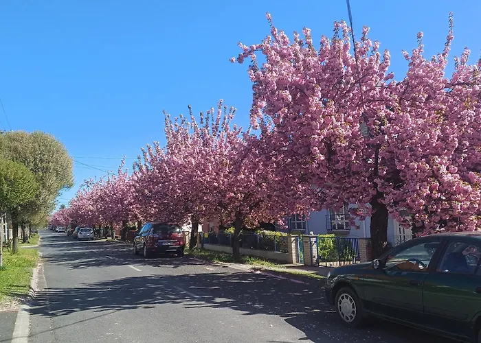 6rooms Balaton-heviz Daire *